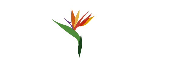 Viva Alegre Fraccionamiento